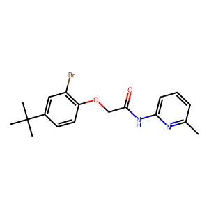 2-(2-bromo-4-tert-butylphenoxy)-N-(6-methylpyridin-2-yl)acetamide structure