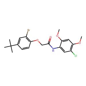 2-(2-bromo-4-tert-butylphenoxy)-N-(5-chloro-2,4-dimethoxyphenyl)acetamide structure