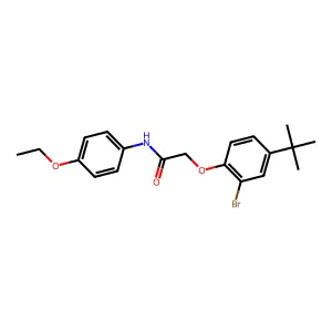 2-(2-bromo-4-tert-butylphenoxy)-N-(4-ethoxyphenyl)acetamide structure