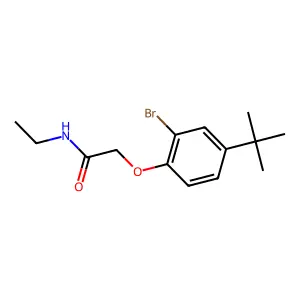 2-(2-bromo-4-tert-butylphenoxy)-N-ethylacetamide structure