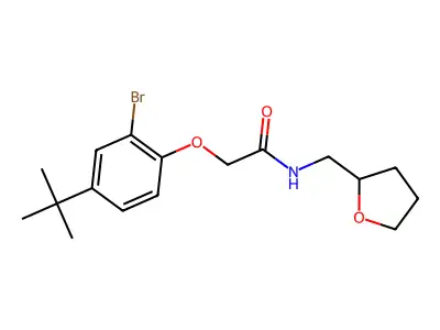 2-(2-bromo-4-tert-butylphenoxy)-N-(oxolan-2-ylmethyl)acetamide structure