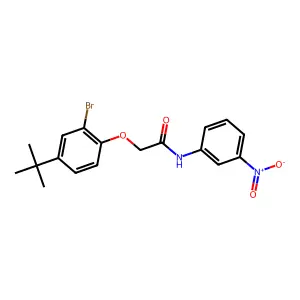 2-(2-bromo-4-tert-butylphenoxy)-N-(3-nitrophenyl)acetamide structure