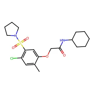 2-(4-chloro-2-methyl-5-pyrrolidin-1-ylsulfonylphenoxy)-N-cyclohexylacetamide structure