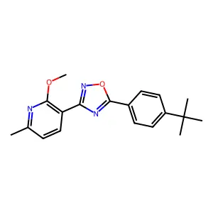 3-[5-(4-Tert-butylphenyl)-1,2,4-oxadiazol-3-yl]-2-methoxy-6-methylpyridine structure