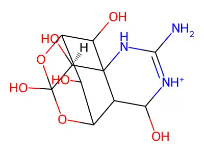 11-Nortetrodotoxin structure
