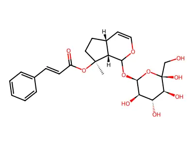 Laterioside structure