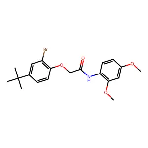 2-(2-bromo-4-tert-butylphenoxy)-N-(2,4-dimethoxyphenyl)acetamide structure