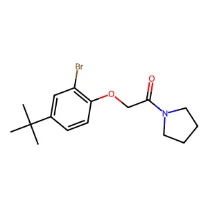 2-(2-Bromo-4-tert-butylphenoxy)-1-pyrrolidin-1-ylethanone structure