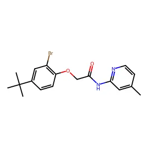 2-(2-bromo-4-tert-butylphenoxy)-N-(4-methylpyridin-2-yl)acetamide structure