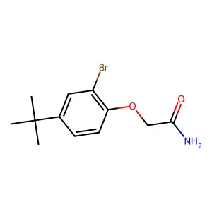 2-(2-Bromo-4-tert-butylphenoxy)acetamide structure
