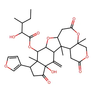 Rohituka 3 structure