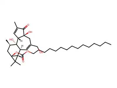 12-Deoxyphorbol-13-decanoate structure