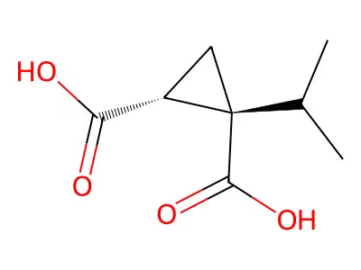 1-Isopropylcyclopropane-1,2-dicarboxylic acid structure