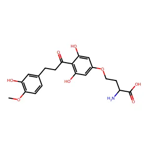 2-Amino-4-(3,5-dihydroxy-4-(3-(3-hydroxy-4-methoxyphenyl)-1-oxopropyl)phenoxy)butanoic acid structure
