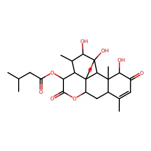 Castelanone structure