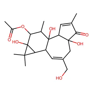 Phorbol 12-acetate structure