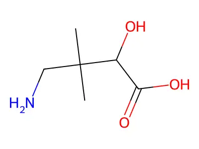 4-Amino-2-hydroxy-3,3-dimethylbutanoic acid structure