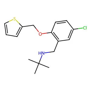N-[5-chloro-2-(thiophen-2-ylmethoxy)benzyl]-2-methylpropan-2-amine structure