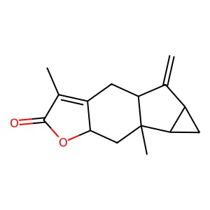 Shizukanolide structure
