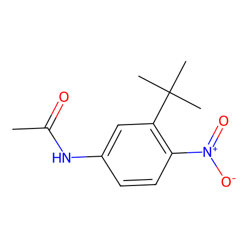 N-{3-tert-butyl-4-nitrophenyl}acetamide structure