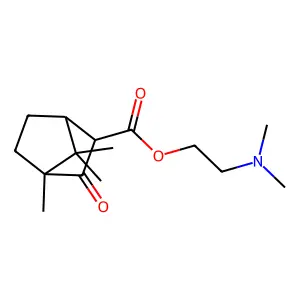 Camphocarbonsaeure-(2-dimethylamino-aethyl)-ester structure