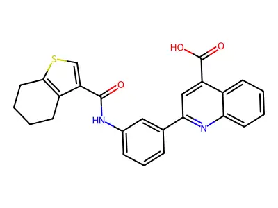 2-[3-(4,5,6,7-tetrahydro-1-benzothiophene-3-carbonylamino)phenyl]quinoline-4-carboxylic acid structure