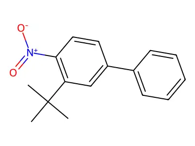 3-(1,1-Dimethylethyl)-4-nitro-1,1'-biphenyl structure