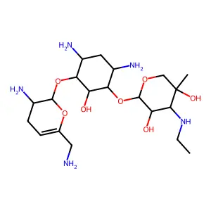 Etisomicin structure