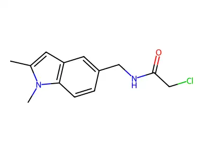 2-chloro-N-[(1,2-dimethylindol-5-yl)methyl]acetamide structure