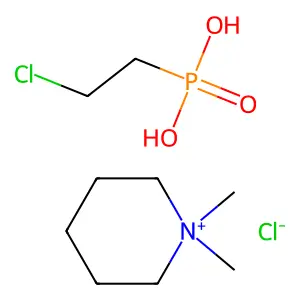 Terpal C structure