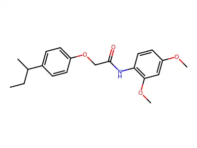 2-(4-sec-butylphenoxy)-N-(2,4-dimethoxyphenyl)acetamide structure