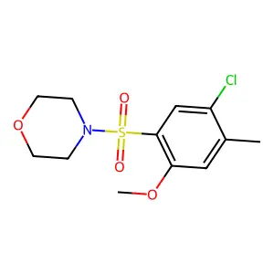 4-(5-Chloro-2-methoxy-4-methylphenyl)sulfonylmorpholine structure