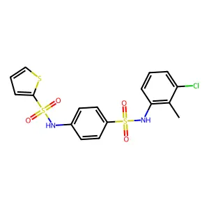 T16A(inh)-B01 structure