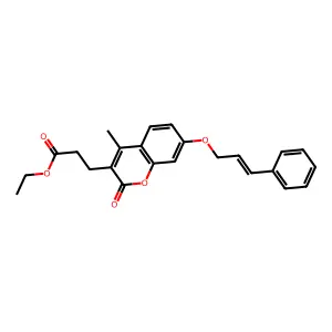 EiM07-28251 structure