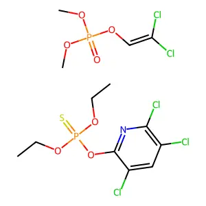 Dichloron structure