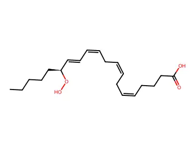15-氢过氧-5,8,11,13-二十碳四烯酸 structure