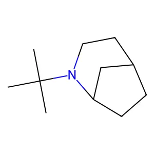 2-Azabicyclo(3.2.1)octane, 2-(1,1-dimethylethyl)- structure