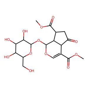 Griselinoside structure