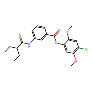 N-(4-chloro-2,5-dimethoxyphenyl)-3-(2-ethylbutanoylamino)benzamide structure
