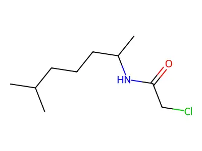 2-Chloro-N-(1,5-dimethylhexyl)acetamide structure