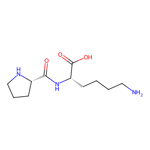 Pro-Lys structure