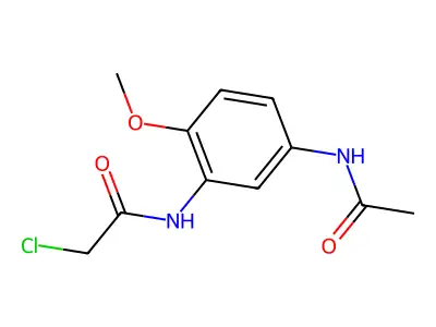 2-chloro-N-(5-acetamido-2-methoxyphenyl)acetamide structure