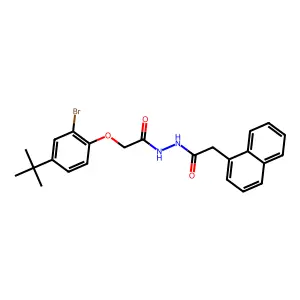 N'-[2-(2-bromo-4-tert-butylphenoxy)acetyl]-2-naphthalen-1-ylacetohydrazide structure