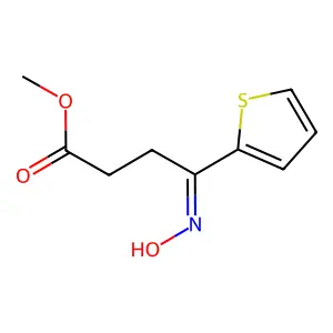 Methyl (4Z)-4-(hydroxyimino)-4-(2-thienyl)butanoate structure