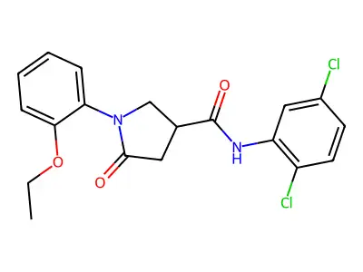 N-(2,5-dichlorophenyl)-1-(2-ethoxyphenyl)-5-oxopyrrolidine-3-carboxamide structure