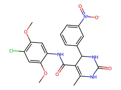 N-(4-chloro-2,5-dimethoxyphenyl)-6-methyl-4-(3-nitrophenyl)-2-oxo-3,4-dihydro-1H-pyrimidine-5-carboxamide structure