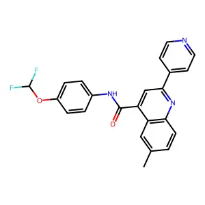 N-[4-(difluoromethoxy)phenyl]-6-methyl-2-pyridin-4-ylquinoline-4-carboxamide structure