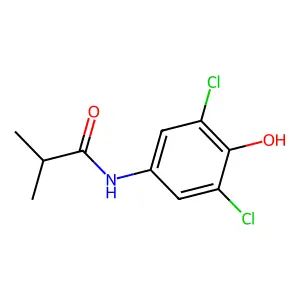 N-(3,5-dichloro-4-hydroxyphenyl)-2-methylpropanamide structure