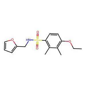 4-ethoxy-N-(furan-2-ylmethyl)-2,3-dimethylbenzenesulfonamide structure