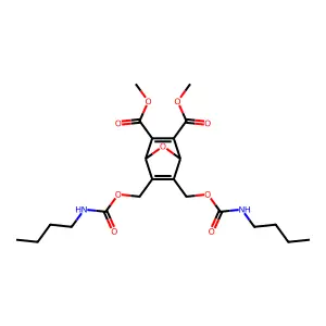 dimethyl 5,6-bis(butylcarbamoyloxymethyl)-7-oxabicyclo[2.2.1 structure